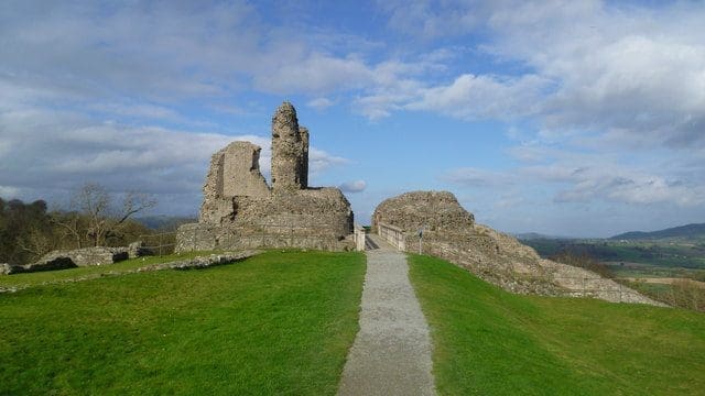 Montgomery Castle