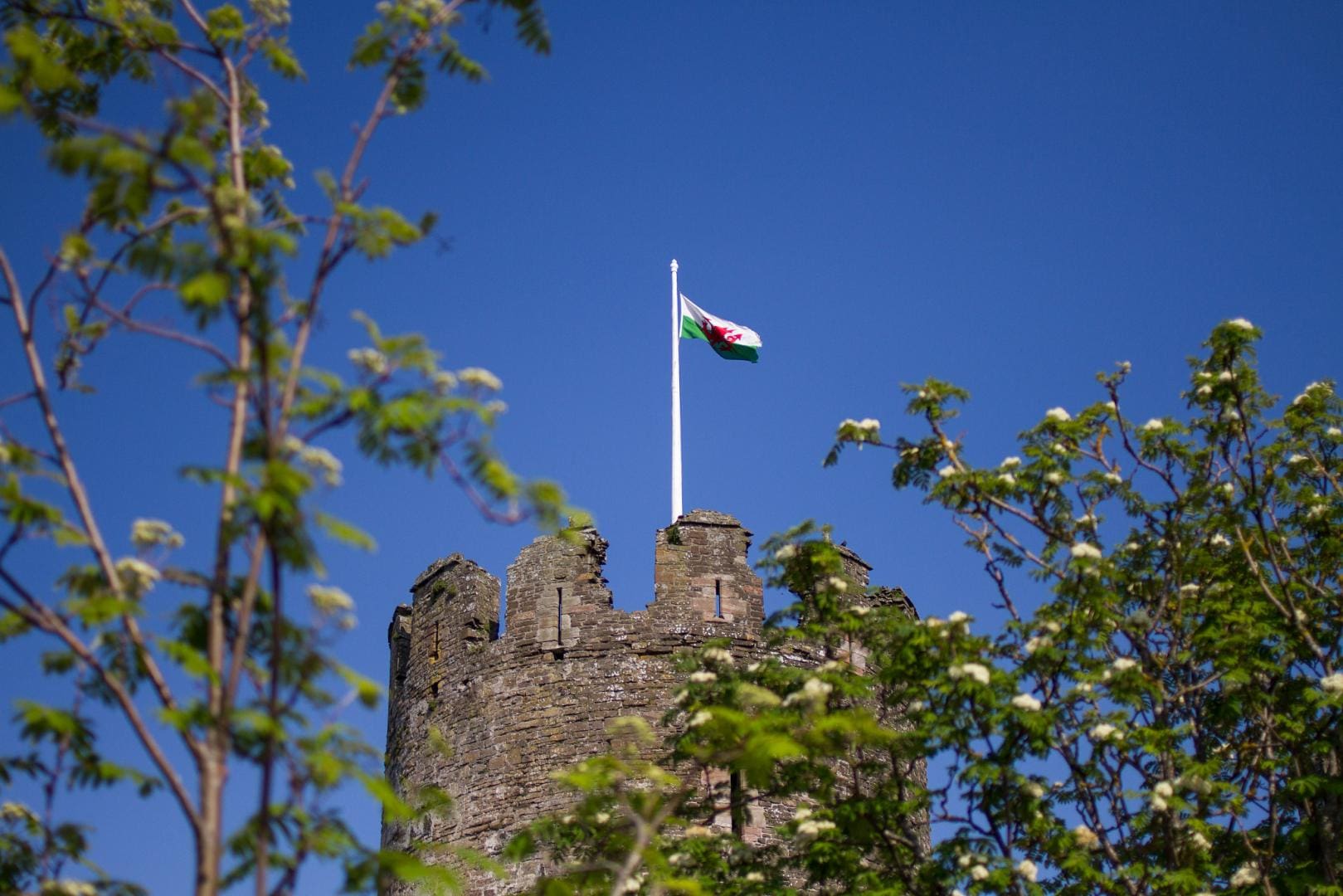 Welsh flag Histories and Castles