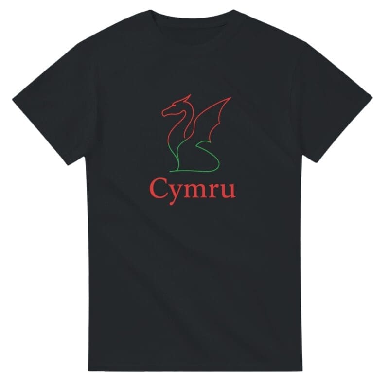 Heavyweight Unisex Crewneck T-shirt | Gildan® 5000 with a red and green dragon outline and Cymru printed below it.